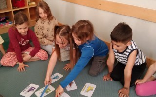 IMG_20260505_084751.jpg