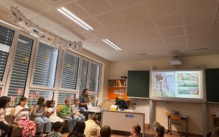 IMG_7269.jpeg