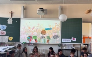 IMG_7276.jpeg