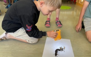 IMG_8650.JPG