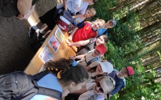 Waldjugendspiele 2026_6