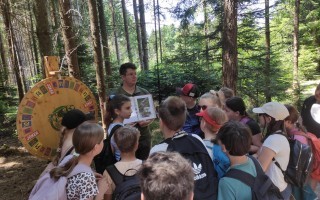 Waldjugendspiele 2026_8