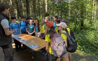 Waldjugendspiele 2026_1
