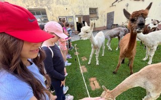 IMG_2880.jpeg