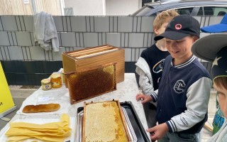 IMG_8795.JPG