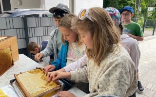 IMG_8826.JPG