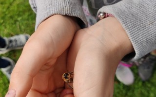 IMG_20260609_090314.jpg