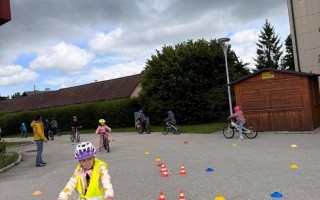 IMG_8036.jpeg