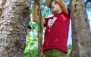 IMG_20260529_104928.jpg