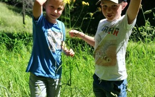 IMG_20260529_104026.jpg