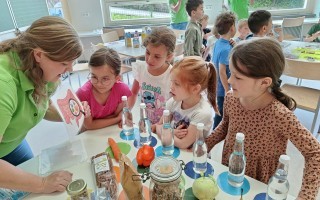 IMG_20260609_101204