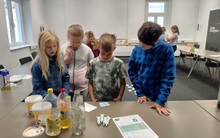IMG_20260612_084425.jpg