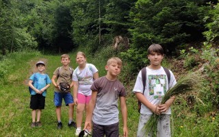 IMG_20260617_105107.jpg