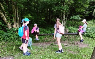 IMG_20260617_080513.jpg