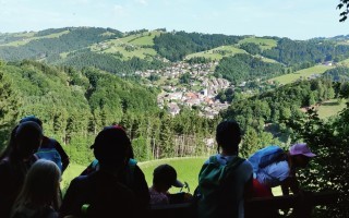 IMG_20260617_083043.jpg