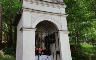 IMG_20260617_083313.jpg