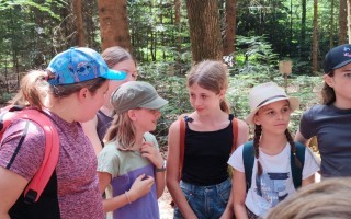 IMG_20260527_124625