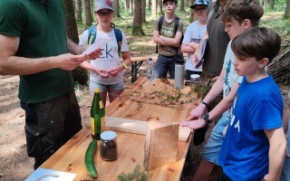 IMG_20260527_124618