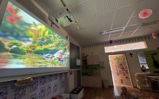 IMG_8646.jpeg