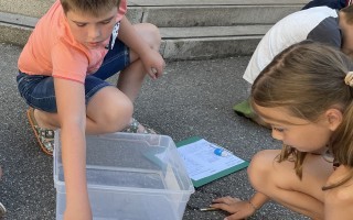 IMG_9336