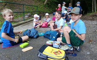 IMG_20260617_084631.jpg