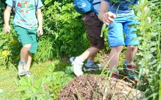 IMG_20260617_091918.jpg