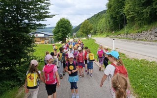 IMG_20260617_103711.jpg