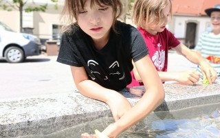 IMG_20260626_110438.jpg