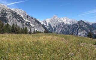 IMG_7990.jpeg