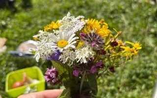 IMG_7987.jpeg