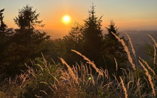 IMG_8150.jpeg