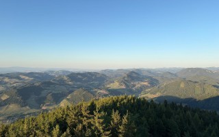 IMG_8140.jpeg
