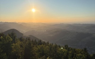 IMG_8136.jpeg