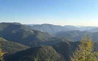 IMG_8128.jpeg