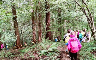 IMG_20260918_095129
