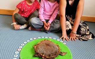 IMG_20260917_110434