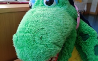 IMG_20260916_082841