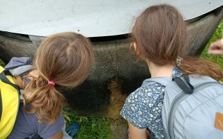 IMG_20260918_094044