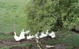 IMG_20260918_093148