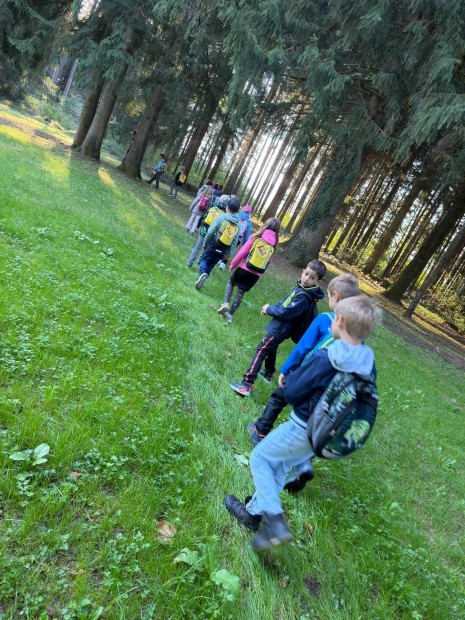 Waldpädagogik3.JPEG