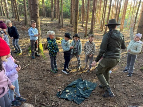 Waldpädagogik6.JPEG