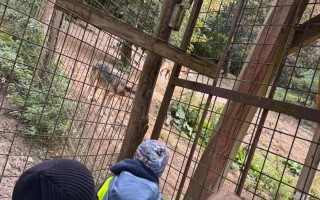 IMG_2266.jpeg