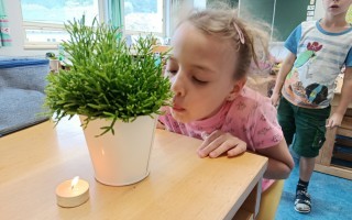 IMG_20260924_110104