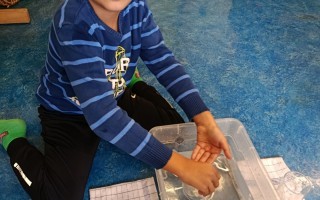 IMG_20260924_110633