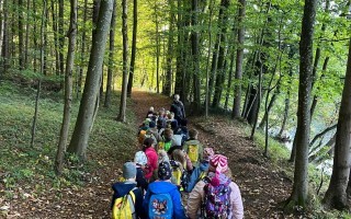 IMG_4953.jpeg