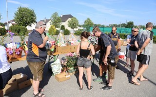 IMG_5976.JPG