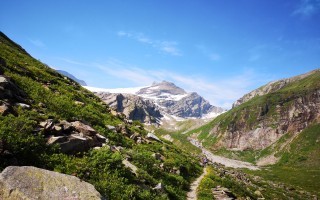IMG_20190727_101359.jpg