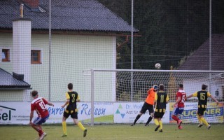 IMG_5350.jpg
