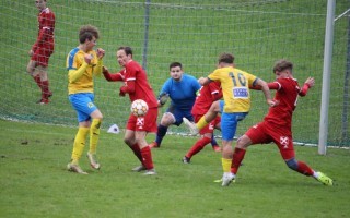 IMG_6386.jpg
