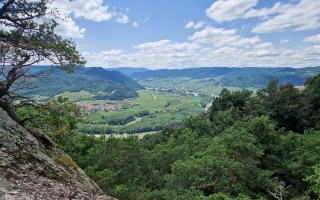 Lehrerwanderung_Vogelbergsteig (10).jpg